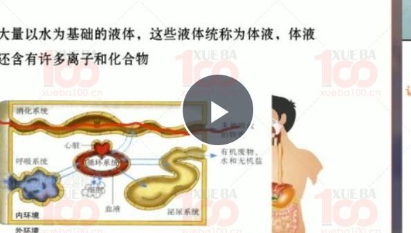 最新2024高二上册生物课视频课程