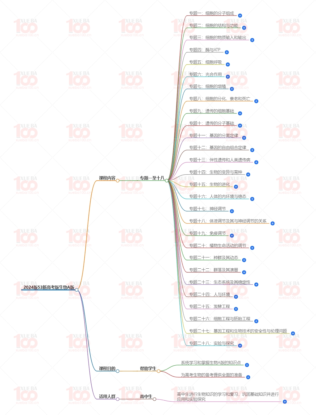 2024版53新高考版生物A版高考物理