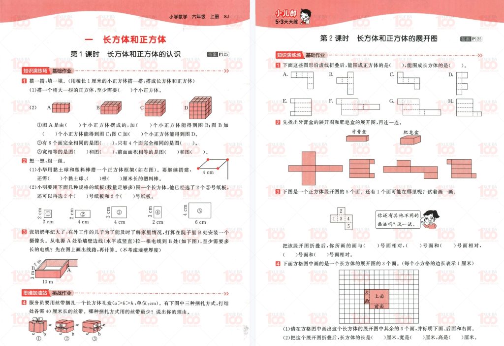 23年秋季新版：语文数学英语53天天练六年级上册全科合集6上/六年级/数学/学霸100